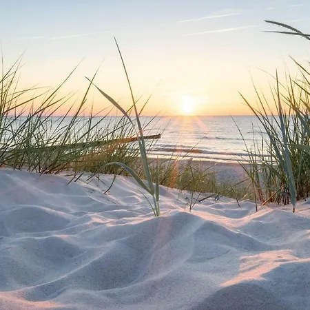 White Pearl 2.07 アパート ティメンドルファー・シュトラント