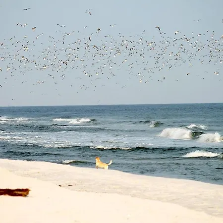 アパート White Pearl 2.07 ティメンドルファー・シュトラント