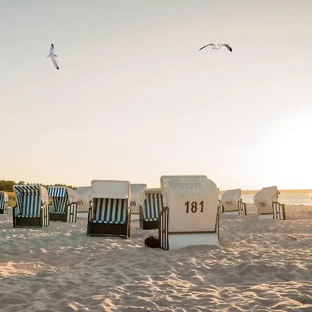 アパート White Pearl 2.07 ティメンドルファー・シュトラント