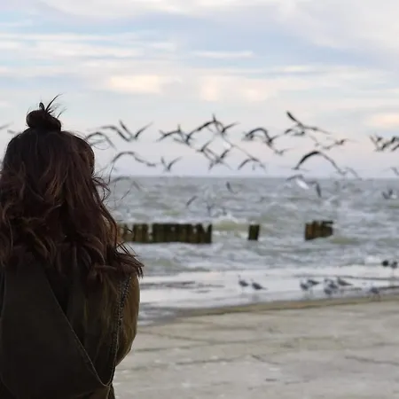 アパート White Pearl 2.07